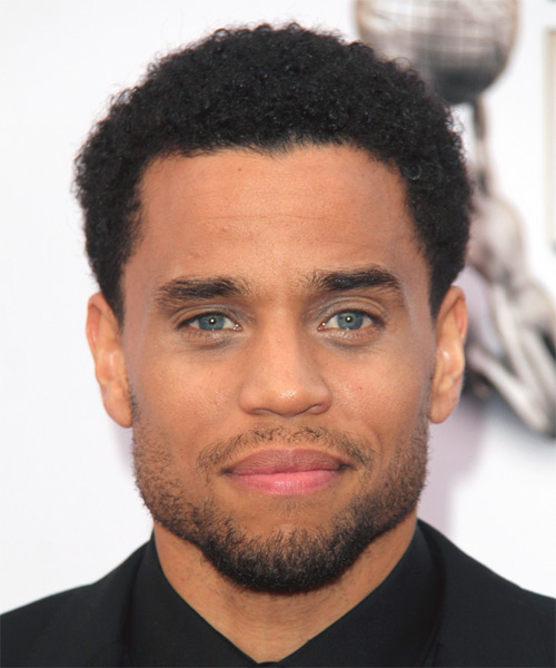 Michael Ealy Short Curly   Black  Afro  Hairstyle