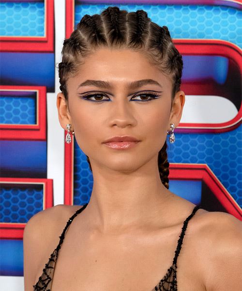 Zendaya Long Straight   Black  Braided  Hairstyle